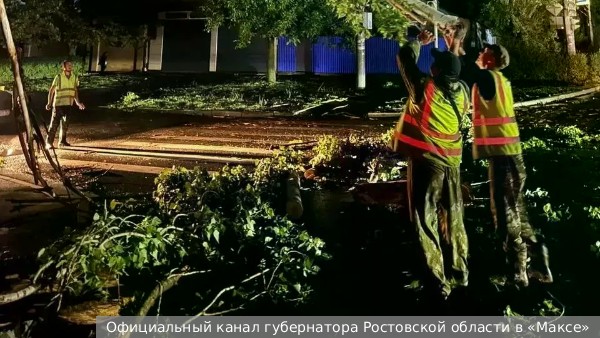Непогода вызвала проблемы с энергоснабжением в Ростовской области