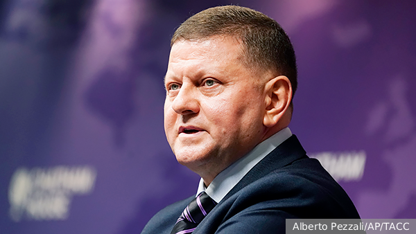 Историк: Залужный вернул украинцев в реальность словами о НАТО