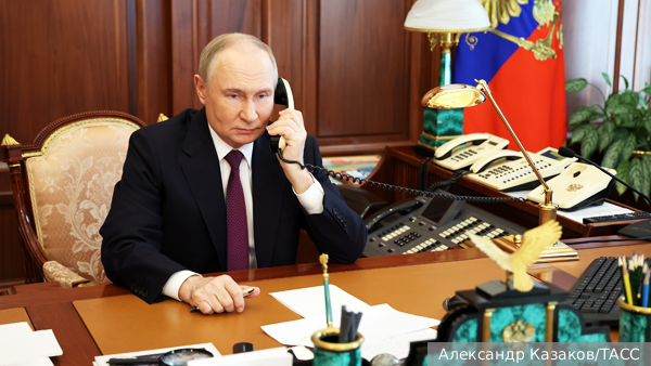 Путин поблагодарил 76-ю дивизию ВДВ за высокие темпы наступления под Добропольем