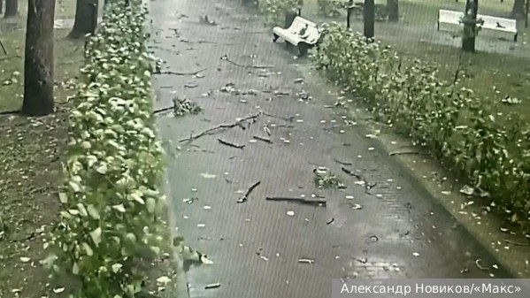 Ребенок и женщина погибли из-за циклона со шквалистым ветром в Смоленске