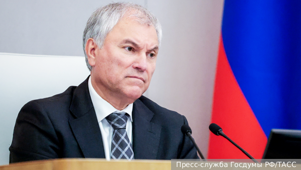 Володин сообщил о вступлении в силу законов против предателей России