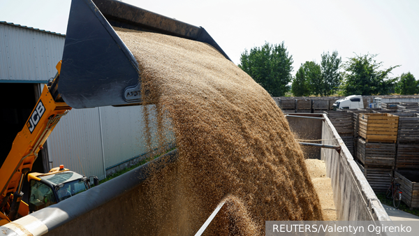 Экспорт украинской сельхозпродукции сократился почти вдвое за месяц