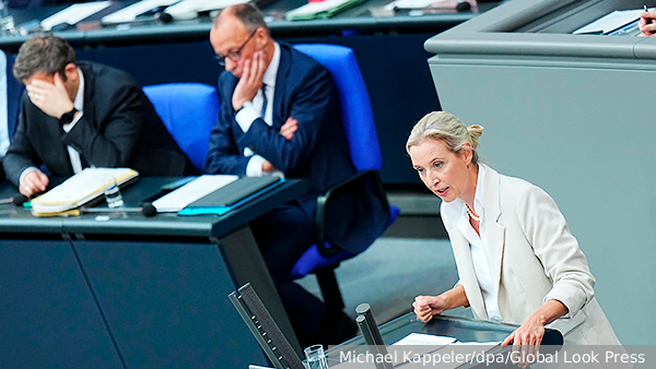 Лидер АдГ Вайдель заявила о наказании Мерца