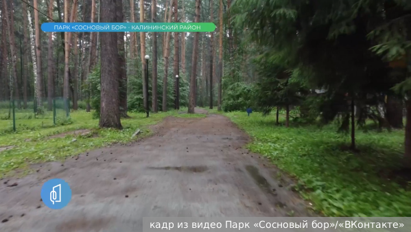 Прокуратура Новосибирска внесла представление мэру из-за работ в «Сосновом бору»