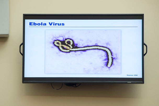 Победа над «сестрой Эболы»