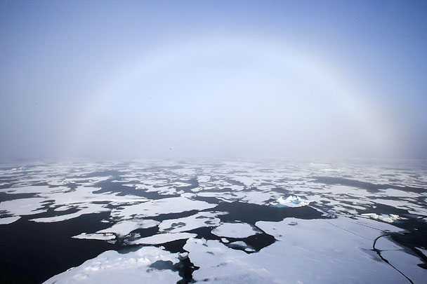СМИ: Министерство по развитию Арктики могут создать в ближайшее время