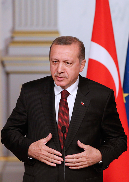 Эрдоган: Турция избежала судьбы Украины и Египта