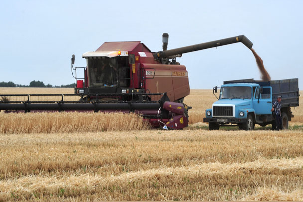Экспортеры прекратили закупку зерна в России