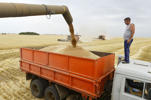 Ограничения на экспорт должны сбить повышение цен на зерно и хлеб