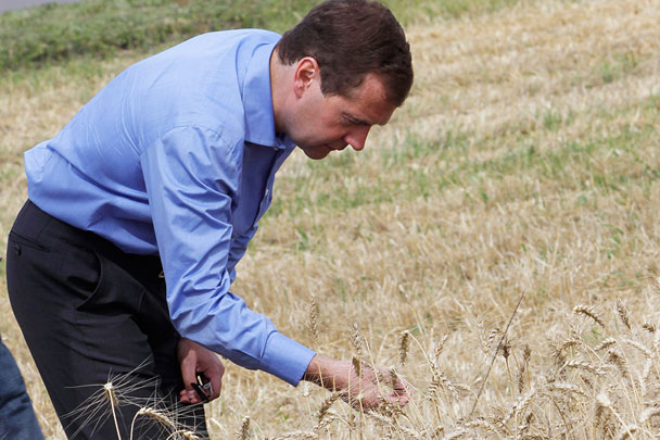 Медведев временно ограничил экспорт зерна