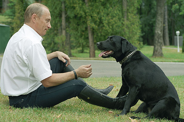Путин подарил лабрадора школьнице из ХМАО