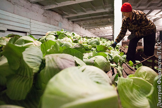Россия не разрешила ввоз 210 тонн овощей из Белоруссии и масла с Украины