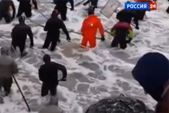 Пляж в Калининградской области засыпало янтарем