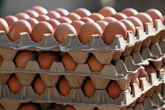 Украина запретила транзит куриных яиц из Турции в Россию