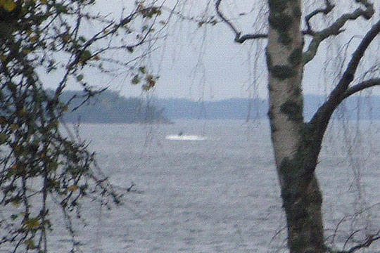 СМИ: У берегов Швеции в октябре могли находиться несколько подлодок