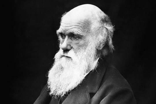 Ученые: Новое древо жизни ставит под сомнение ряд положений теории Дарвина