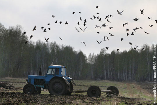 Украинских фермеров поставили в безвыходное положение перед посевной