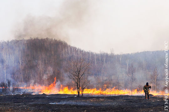 Площадь лесных пожаров в Сибири за сутки выросла на 10%