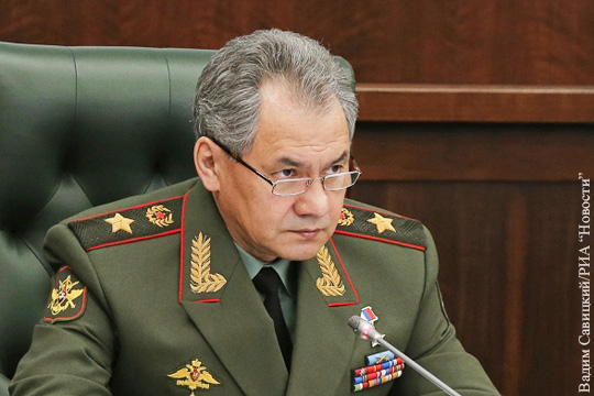 Шойгу выразил надежду на создание полностью профессиональной армии в России