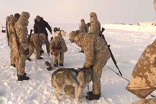 Военные в Арктике пожаловались на еду с мокрицами и невыплату зарплаты