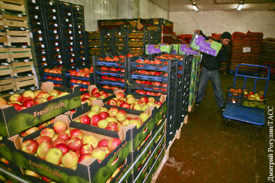 Россельхознадзор разрешил возобновить поставки фруктов из Молдавии в Россию
