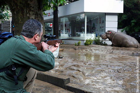 В Тбилиси начались работы по ликвидации наводнения