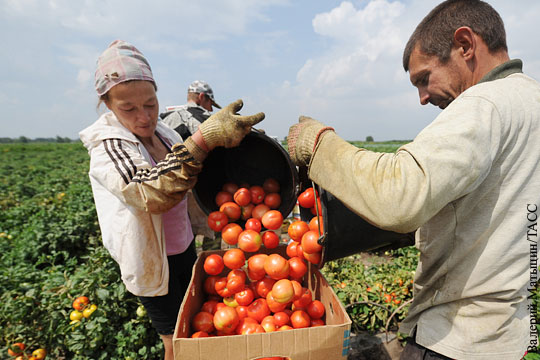 Сельхозпроизводители попросили власти России расширить продуктовое эмбарго