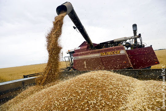 Российские экспортеры зерна предложили Египту расплачиваться рублями