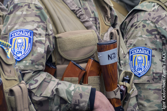 Боевиков из ОУН и «Сич» вызвали в Киев «освобождать собратьев»
