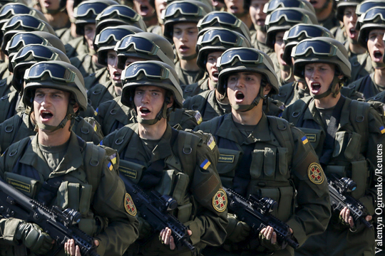 Полторак: Численность армии Украины за год выросла вдвое