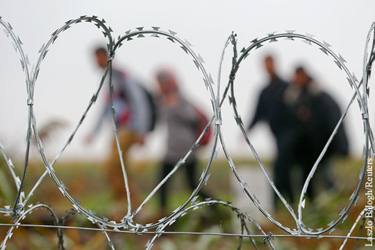 Фирмы в Германии отказались продавать Венгрии колючую проволоку для границы