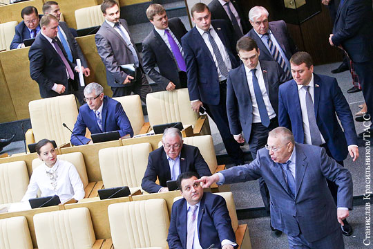 Жириновский увел фракцию ЛДПР с заседания Госдумы после конфликта с Родниной
