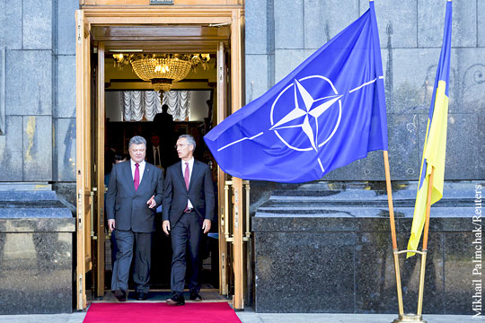 Кремль прокомментировал стремление Украины в НАТО