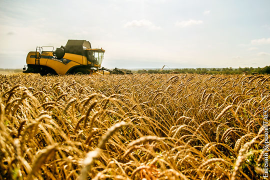 Рост сельхозэкспорта зависит от технологий, которых у России нет