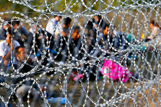 На границе Болгарии и Турции произошла перестрелка с мигрантами