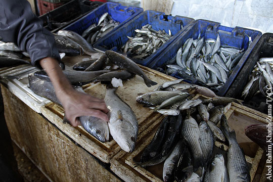 Глава Минсельхоза предложил ограничить госзакупки рыбы за границей