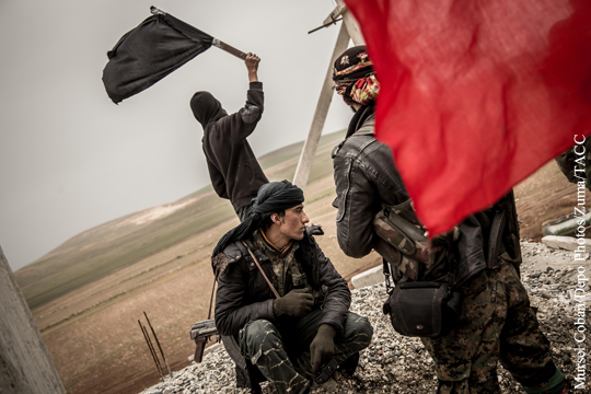 Партия сирийских курдов выразила готовность к совместной с Россией борьбе против ИГ