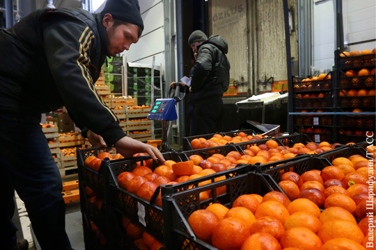 В Россию из Латакии отправилась первая партия сирийских фруктов