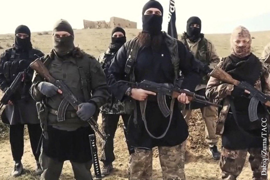 Боевик ИГ рассказал о помощи террористам со стороны Турции