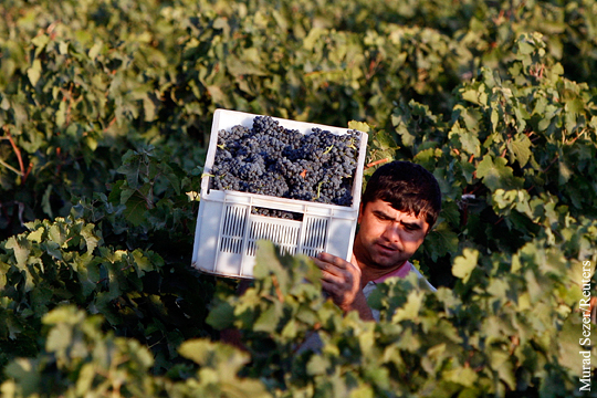 Турецкие фермеры пожаловались на последствия потери российского рынка