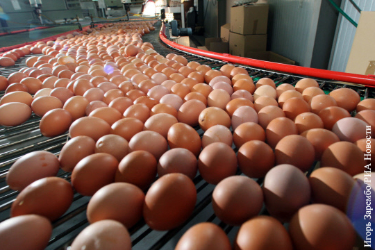 Куриные яйца c Украины стали причиной вспышки сальмонеллеза в Израиле