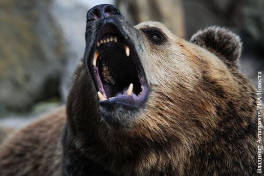 Захарова отнесла слова Бридлава об объятиях с русским медведем к личной жизни генерала
