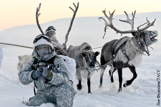 Российские военные в Арктике провели учения с использованием оленьих упряжек (видео)
