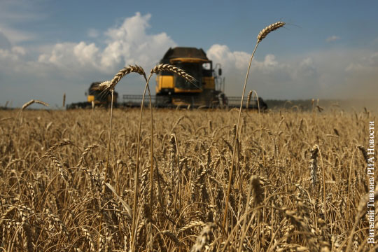 Турция пригрозила ударом по сельскому хозяйству России