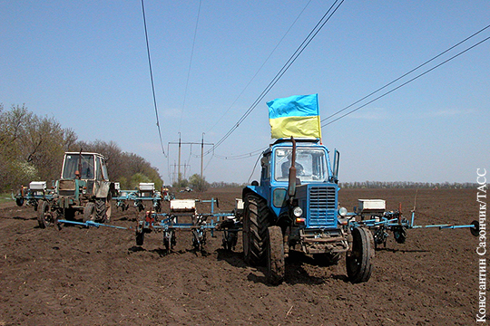 Сельское хозяйство Украины застыло на грани выживания
