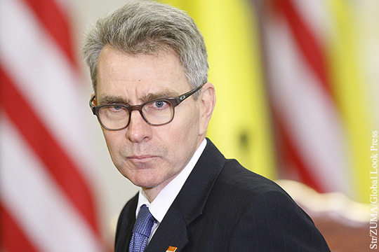 Посол США посоветовал Украине не проводить выборы в течение двух лет