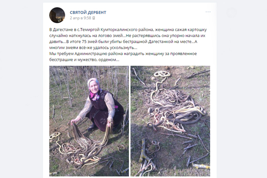 Жительница Дагестана убила около 80 змей на своем участке
