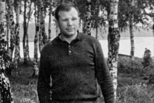 Посаженный Гагариным кедр спилили в Сочи в День космонавтики