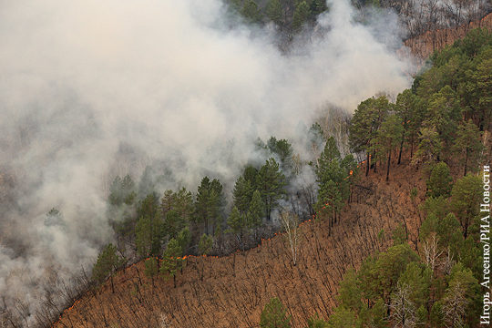 В Амурской области отказались от попыток тушить пожары прямо в лесу