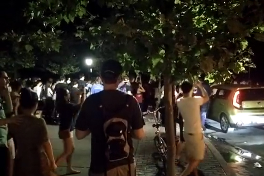 Толпа жителей Нью-Йорка устроила погоню за редким покемоном (видео)